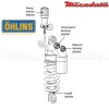 Amortisseur Ohlins KAWASAKI H2 (2016-2016) KA 363 TTX GP (T36PR1C1LS)