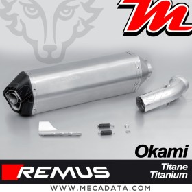 Silencieux Pot échappement REMUS Okami sans Catalyseur BMW K 1200 R 2005-2008