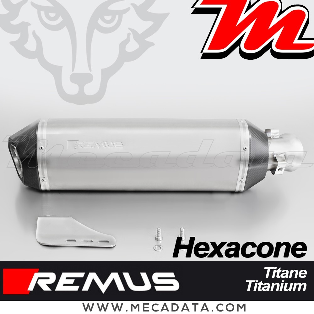 Silencieux d'échappement - BMW K 1300 R 2009-2016 - BMW K 1300 S 2009-2016 - REMUS Hexacone - avec Catalyseur