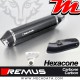 Silencieux d'échappement ~ BMW R 1200 GS 2013-2015 ~ REMUS Hexacone