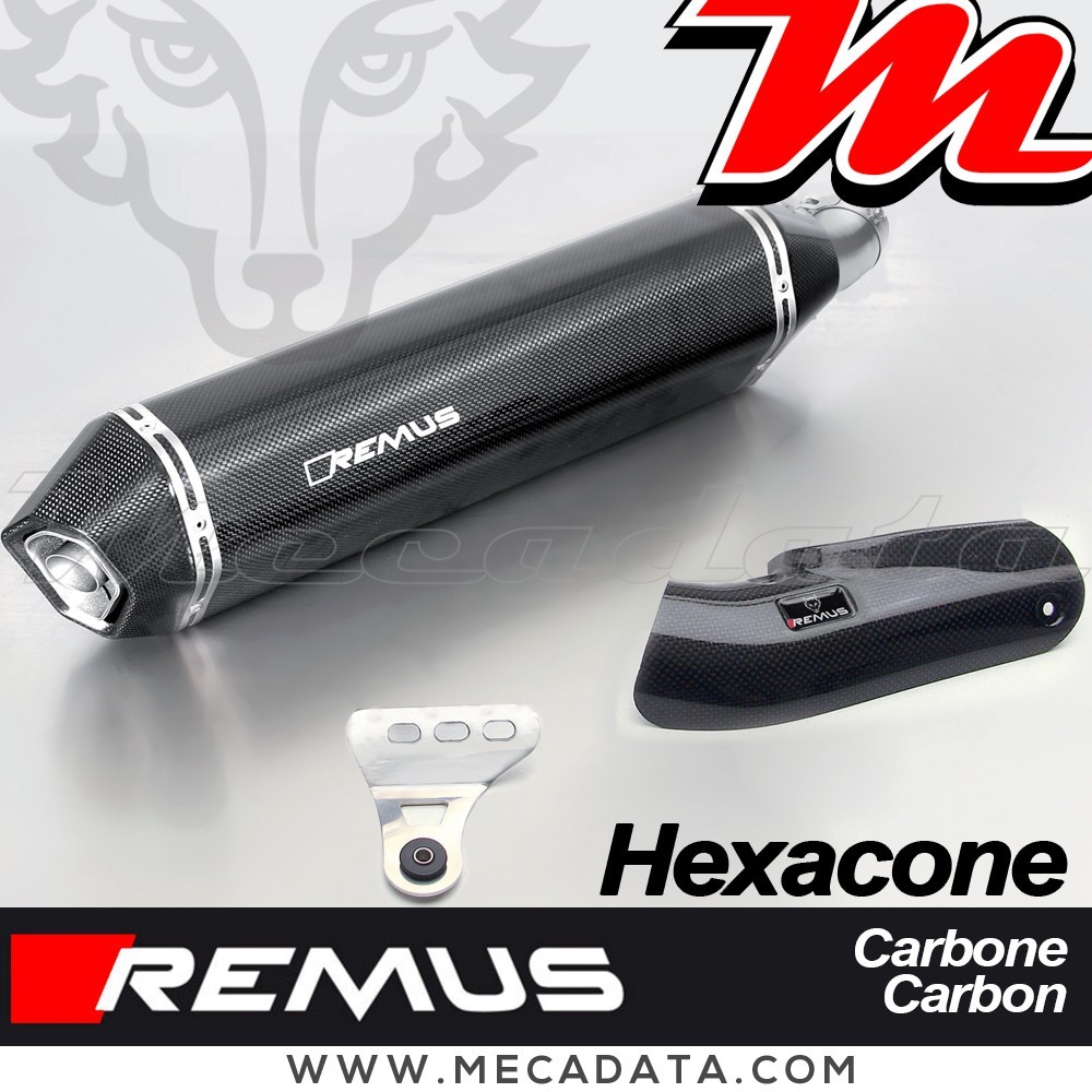Silencieux d'échappement - BMW R 1200 GS 2013-2016 - REMUS Hexacone