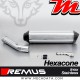 Silencieux pot d'échappement ~ BMW R 1200 R 2006-2010 ~ REMUS Hexacone