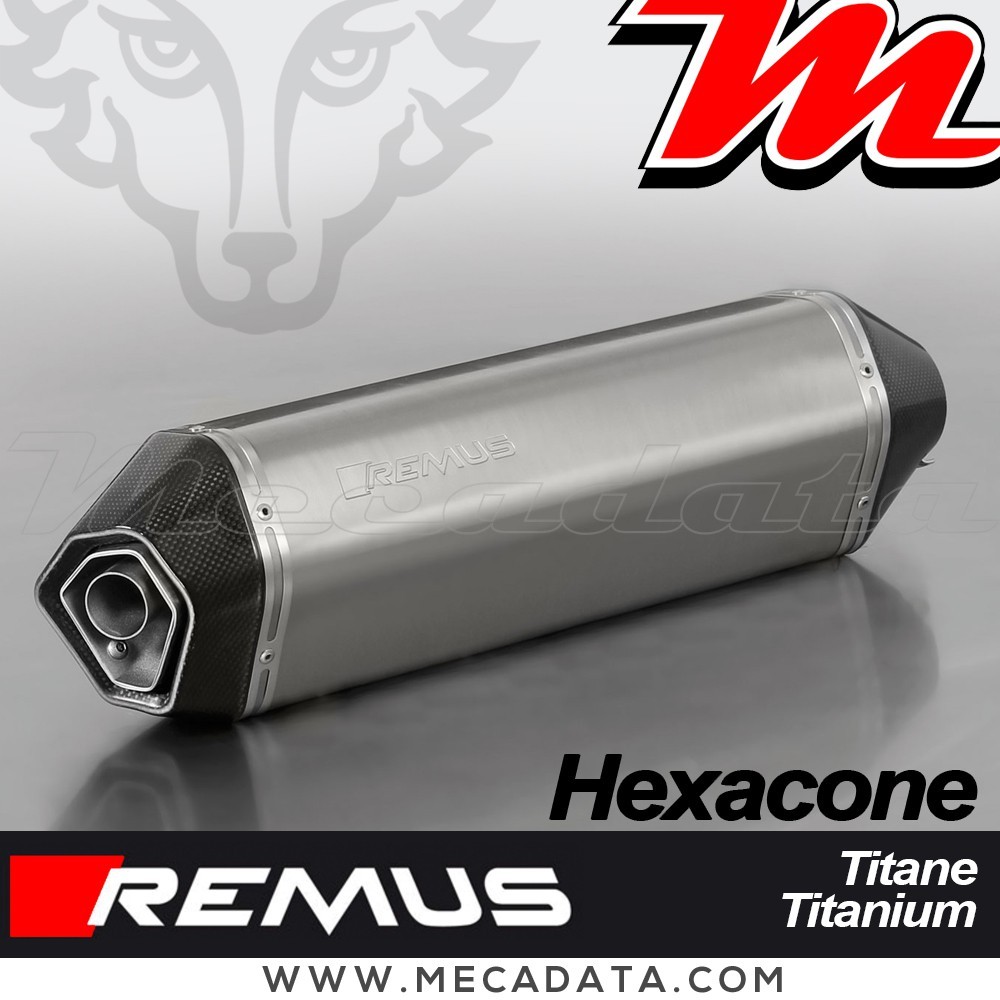 Silencieux Pot d'échappement REMUS Hexacone BMW C 600 SPORT 2012-2015