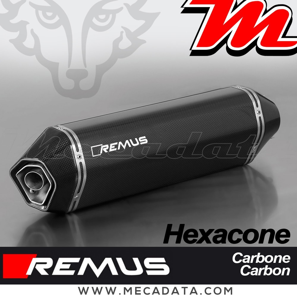 Silencieux Pot d'échappement REMUS Hexacone BMW C 600 SPORT 2012-2015