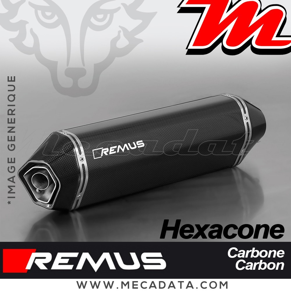 Silencieux Pot d'échappement Triumph Tiger Explorer XCA 2016 - 2017 REMUS Hexacone