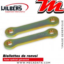 Kit Rabaissement ~ Ducati Diavel ~ ( G1 ) 2011-2016 ~ Wilbers - 20mm