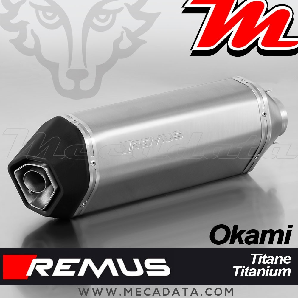 Silencieux Pot échappement REMUS Okami Suzuki SV 650 2016-2017