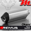 Silencieux Pot échappement REMUS Okami Suzuki SV 650 2016-2017