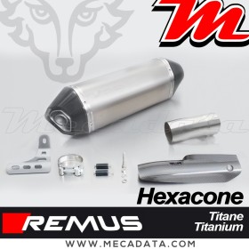 Silencieux pot d'échappement BMW R 1200 R 2017 REMUS Hexacone