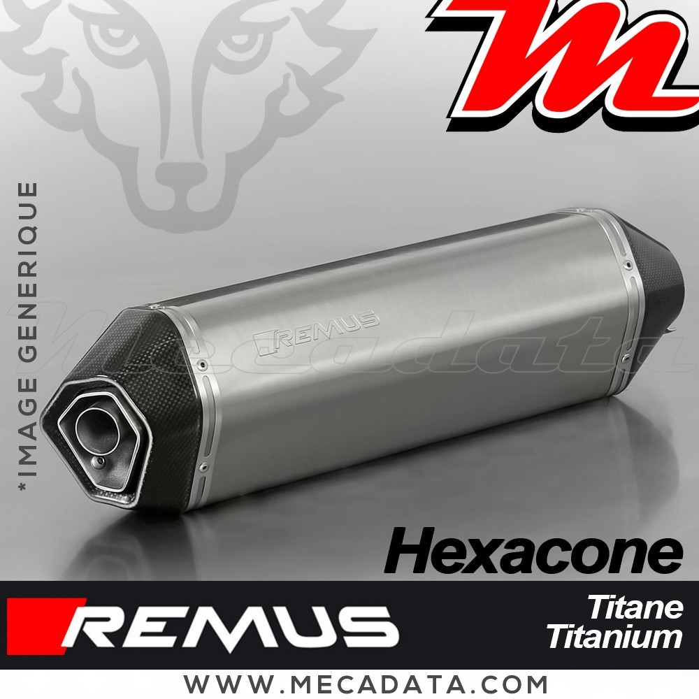 Silencieux Pot d'échappement TRIUMPH Tiger 1050 2007-2012 REMUS Hexacone