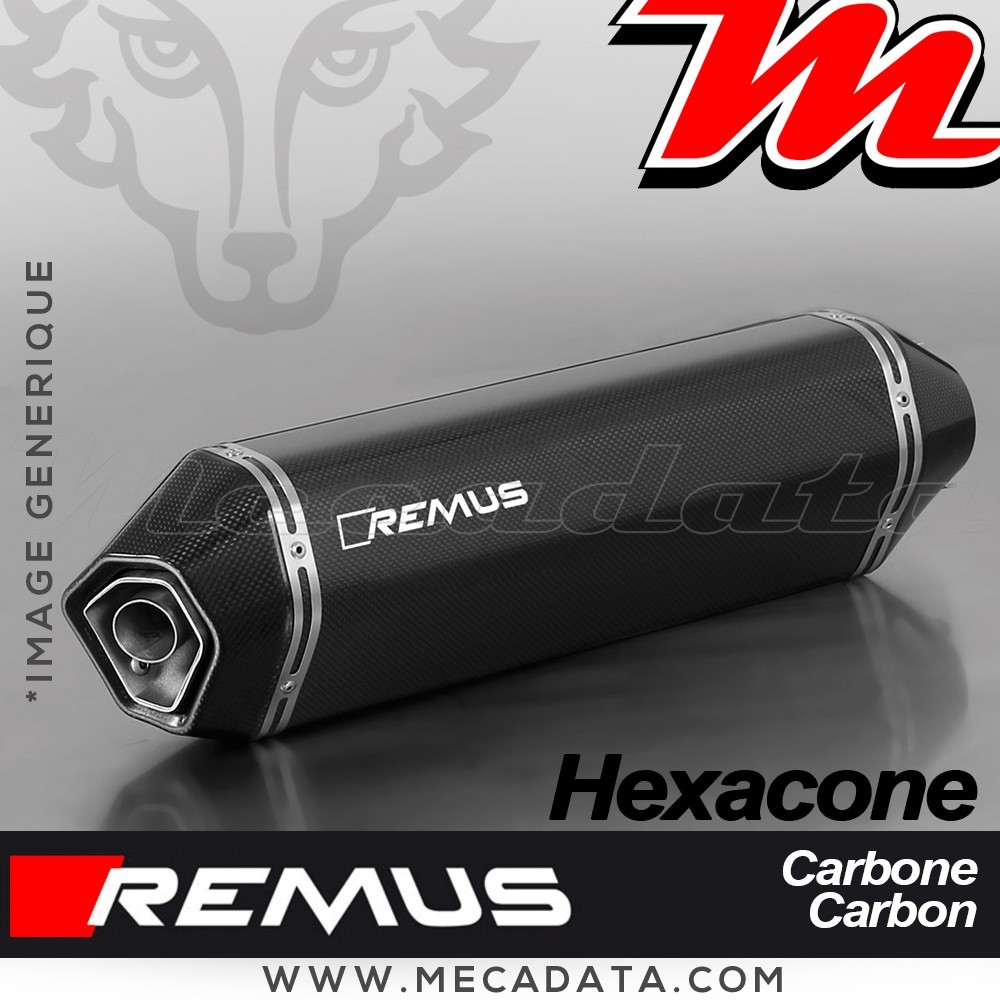 Silencieux Pot d'échappement TRIUMPH Tiger 800 XR 2015+ REMUS Hexacone