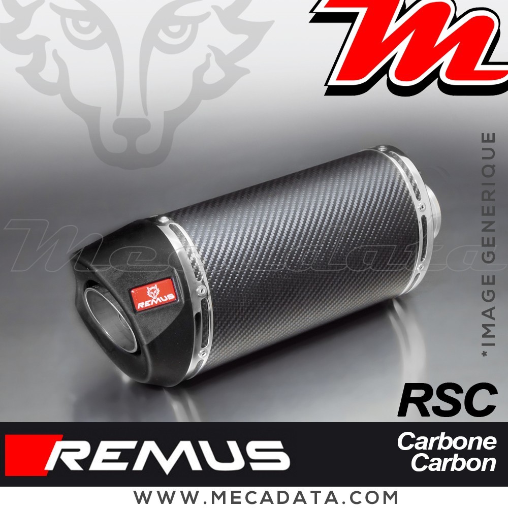 Silencieux Pot d'échappement KTM 390 Duke 2013 - 2016 KTM 390 RC 2014 - 2016 REMUS RSC RACE