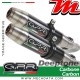 Silencieux Pot d'échappement ~ APRILIA DORSODURO 750 2008 - 2016 ~ GPR DEEPTONE - Version RACING