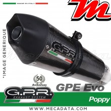 Silencieux Pot d'échappement ~ APRILIA RSV4 - RF - RR - Racer Pack 2015 - 2016 ~ GPR GPE ANNIVERSARY