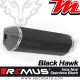 Silencieux d'échappement ~BMW R 1250 R 2019 - 2021 ~ Remus Black Hawk