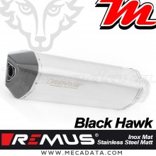 Silencieux Pot d'échappement ~ BMW R 1250 RT 2019 - 2022 ~ REMUS Black Hawk