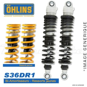 Amortisseur Ohlins ~ HD 735 (S36DR1) 