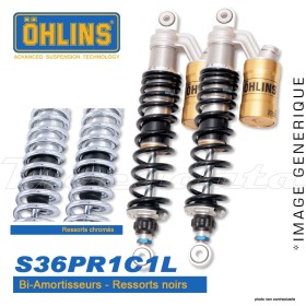 Amortisseur Ohlins ~ HD 852 (S36PR1C1L) 