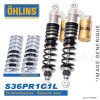 Amortisseur Ohlins ~ HD 852 (S36PR1C1L) 