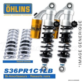 Amortisseur Ohlins ~ HD 471 (S36PR1C1LB) 