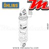 Paire d'amortisseurs Ohlins ~ HD 207 (S36E) 