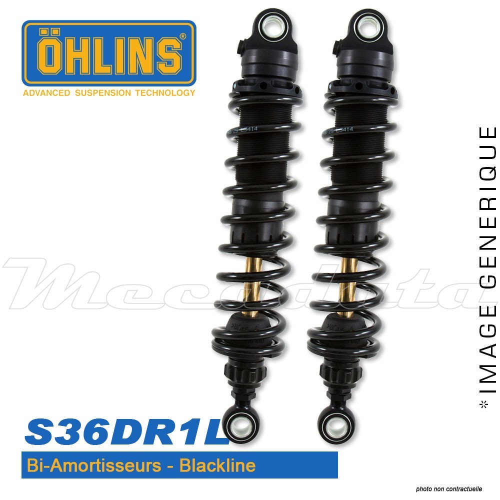 Paire d'amortisseurs Ohlins ~ HD 793 (S36DR1L) 