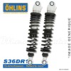 Paire d'amortisseurs Ohlins ~ HO 029 (S36DR1) 