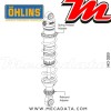 Paire d'amortisseurs Ohlins ~ HO 029 (S36DR1) 