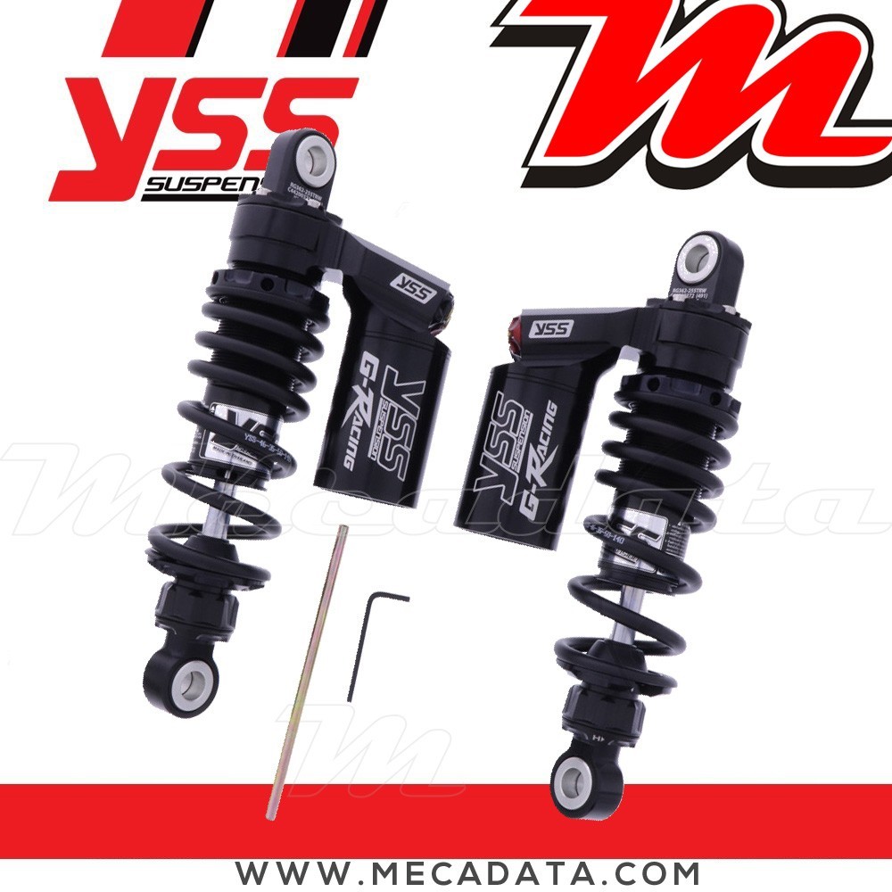 Paire d'amortisseurs ~ RG362-255TRW-04-B 