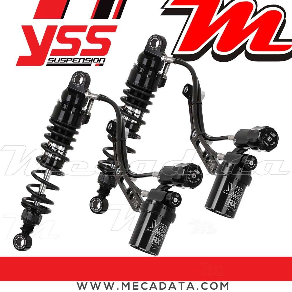 Paire d'amortisseurs ~ RX362-305H1RCL-19-B 