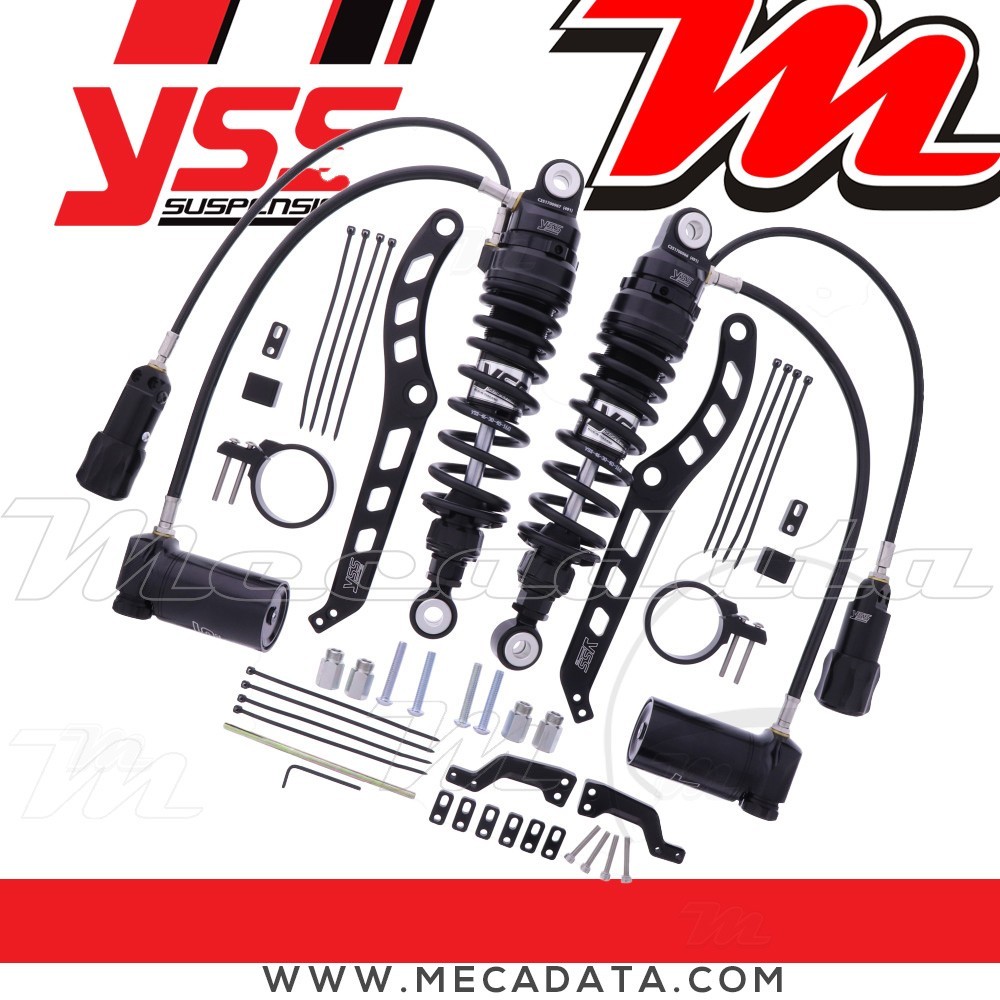 Paire d'amortisseurs ~ RX362-305H1RWL-19-B 