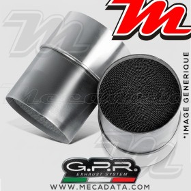 Catalyseur échappement GPR 