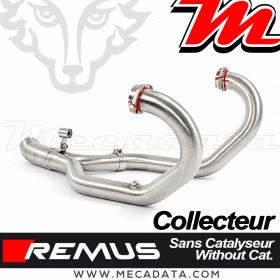 Collecteur Remus BMW R 1200 GS
