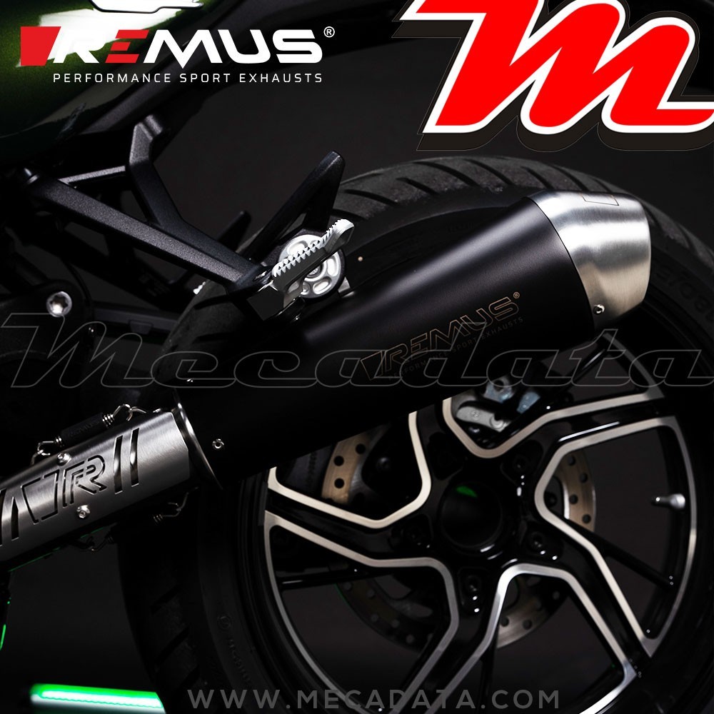 Silencieux REMUS BMW R 12 G/S