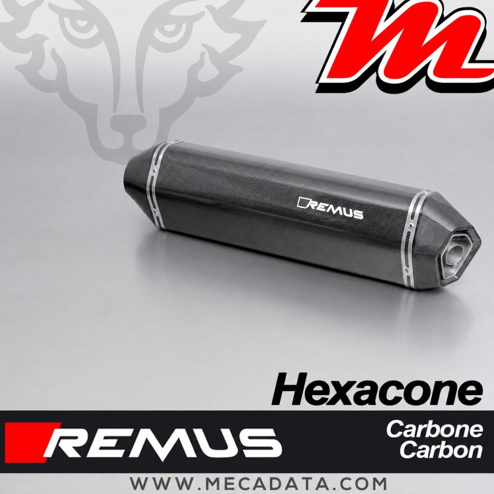 Silencieux Pot d'échappement REMUS Hexacone BMW F 800 R 2009-2014