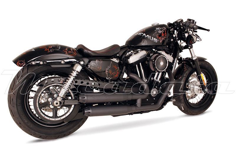 Harley-Davidson Remus SPORTSTER XL2 Ensemble