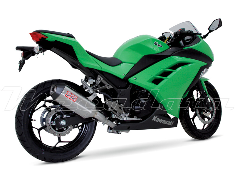 Kawasaki Ninja 300 Remus Okami Ensemble