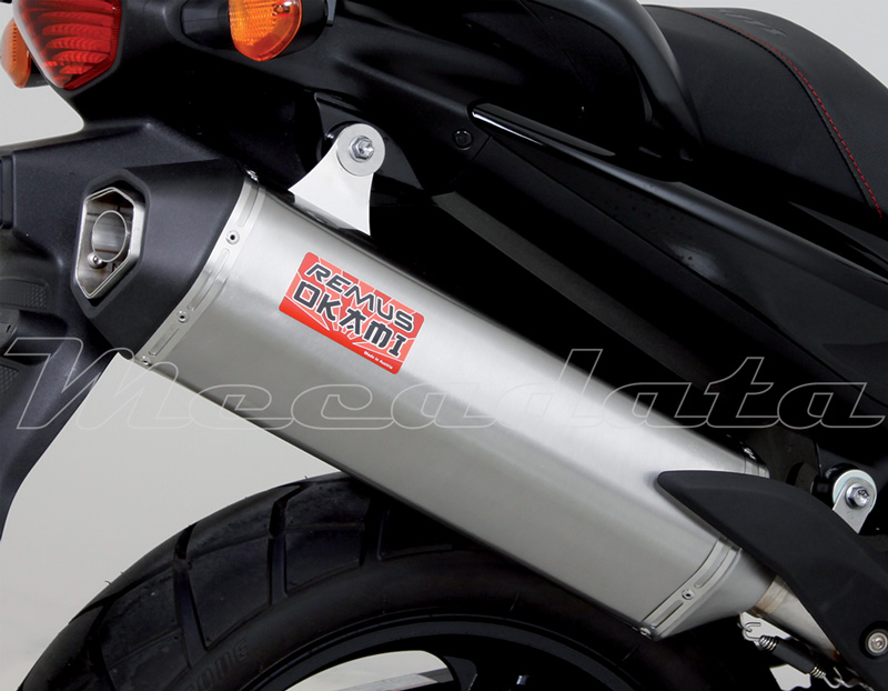 Suzuki DL 650 V-Strom Echappement Remus Okami Zoom