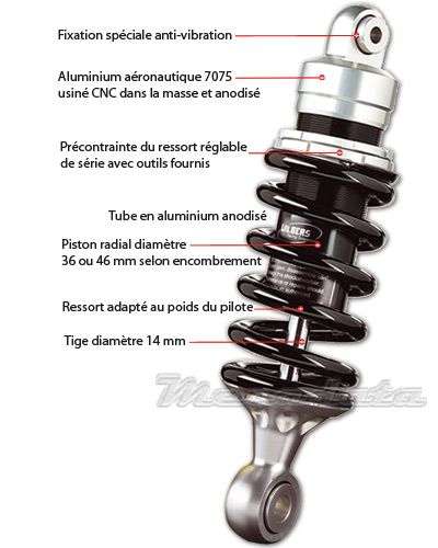 premium_400x500.jpg